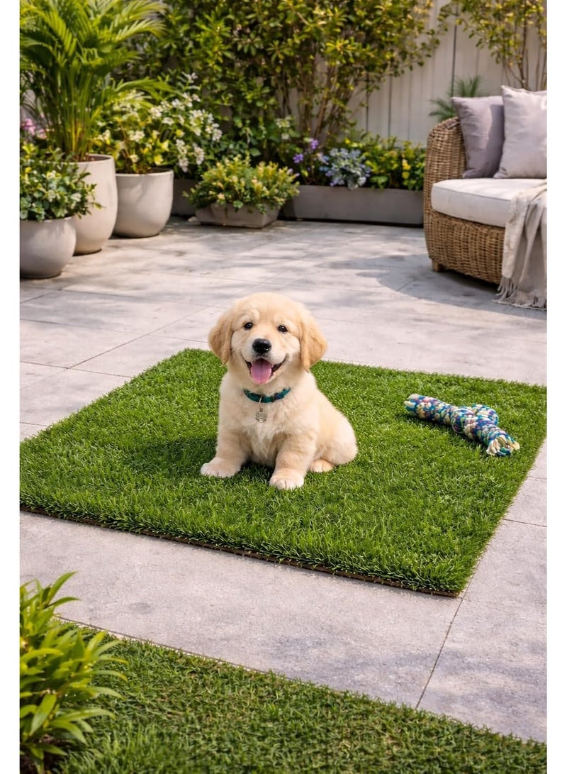 2cm artificial grass for dogs and cats – an alternative to an indoor garden – easy to clean and suitable for puppies and small dogs – non-slip base (80cm by 1 meter) - Image 2